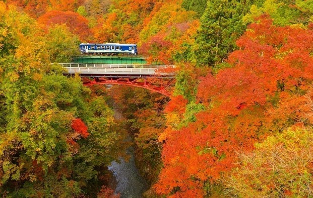 紅葉の時期の内陸線