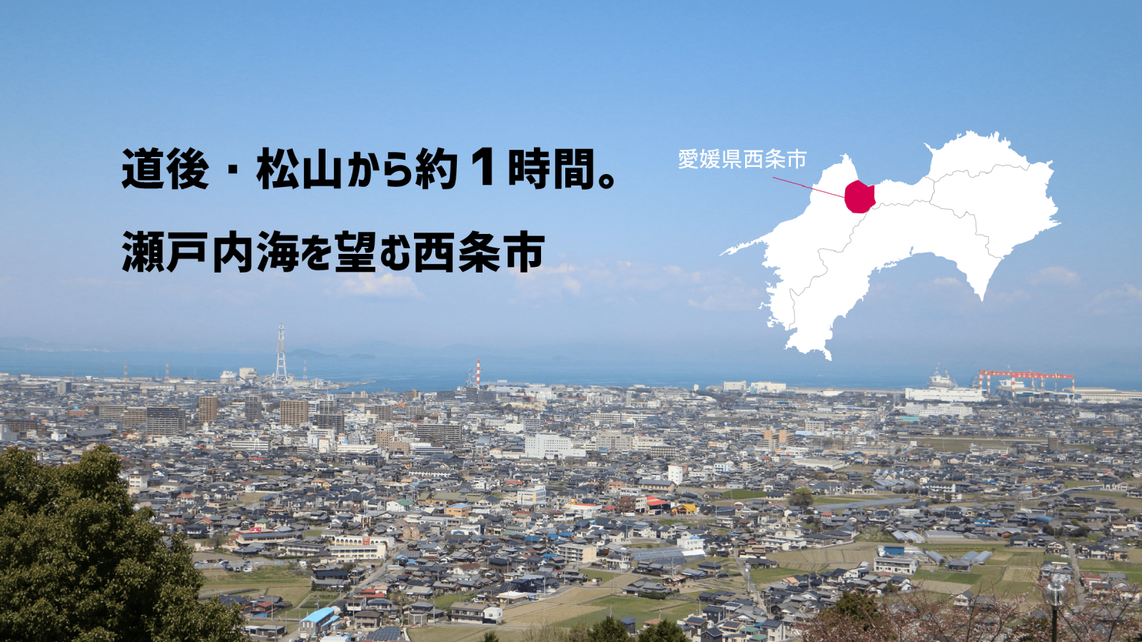 愛媛県西条市を一望した風景(【LOVE SAIJO】愛媛県西条市への移住・定住サポートサイトより)