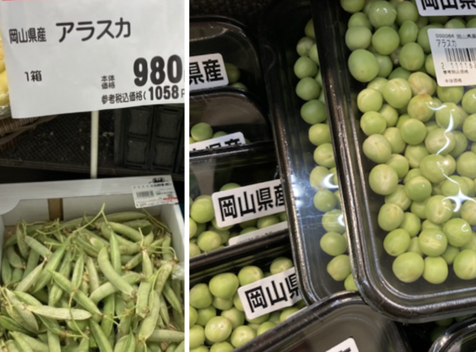 アラスカ豆