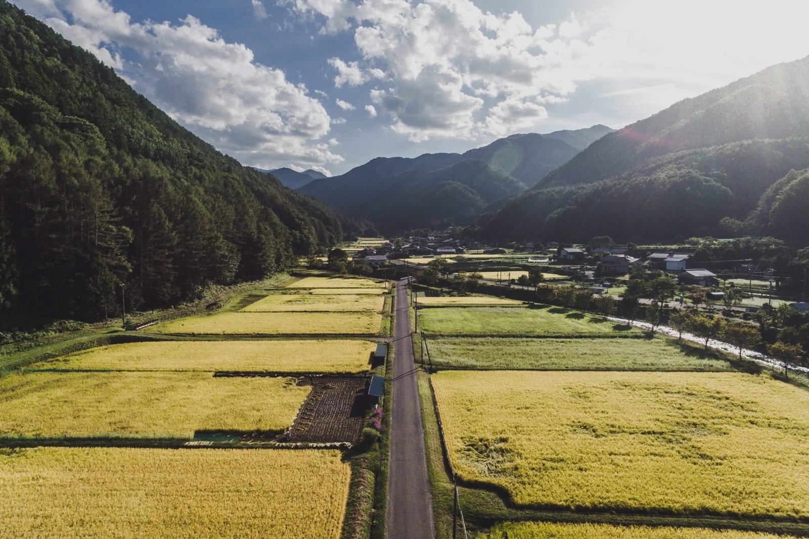 日本の原風景が残る辰野町の里山・川島エリア(写真提供:PINTO. 小口広希)
