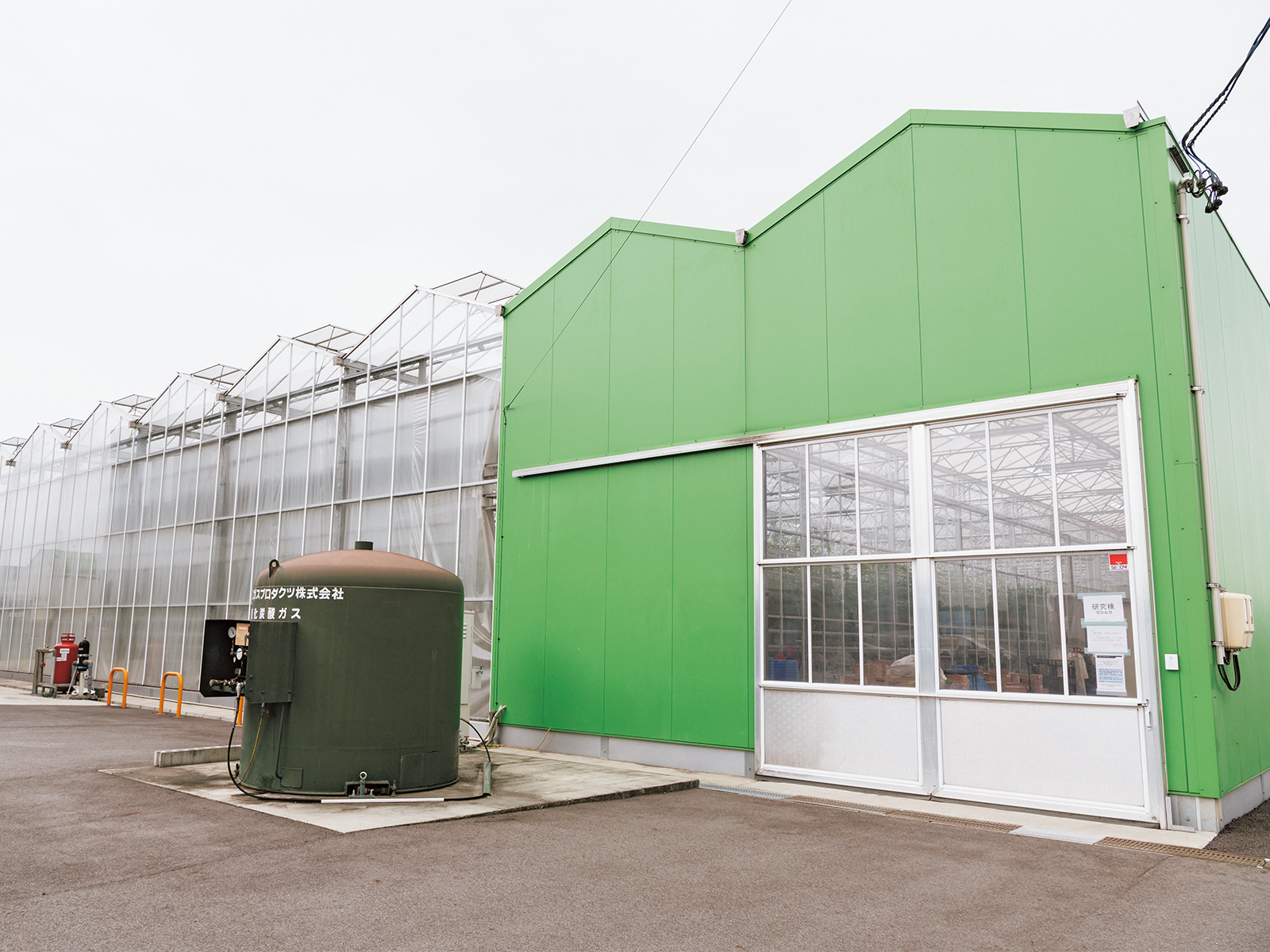 研究棟で使用しているのは、オランダフェンロ型のハウス。涼しい地域に向いていて、採光性に優れる。