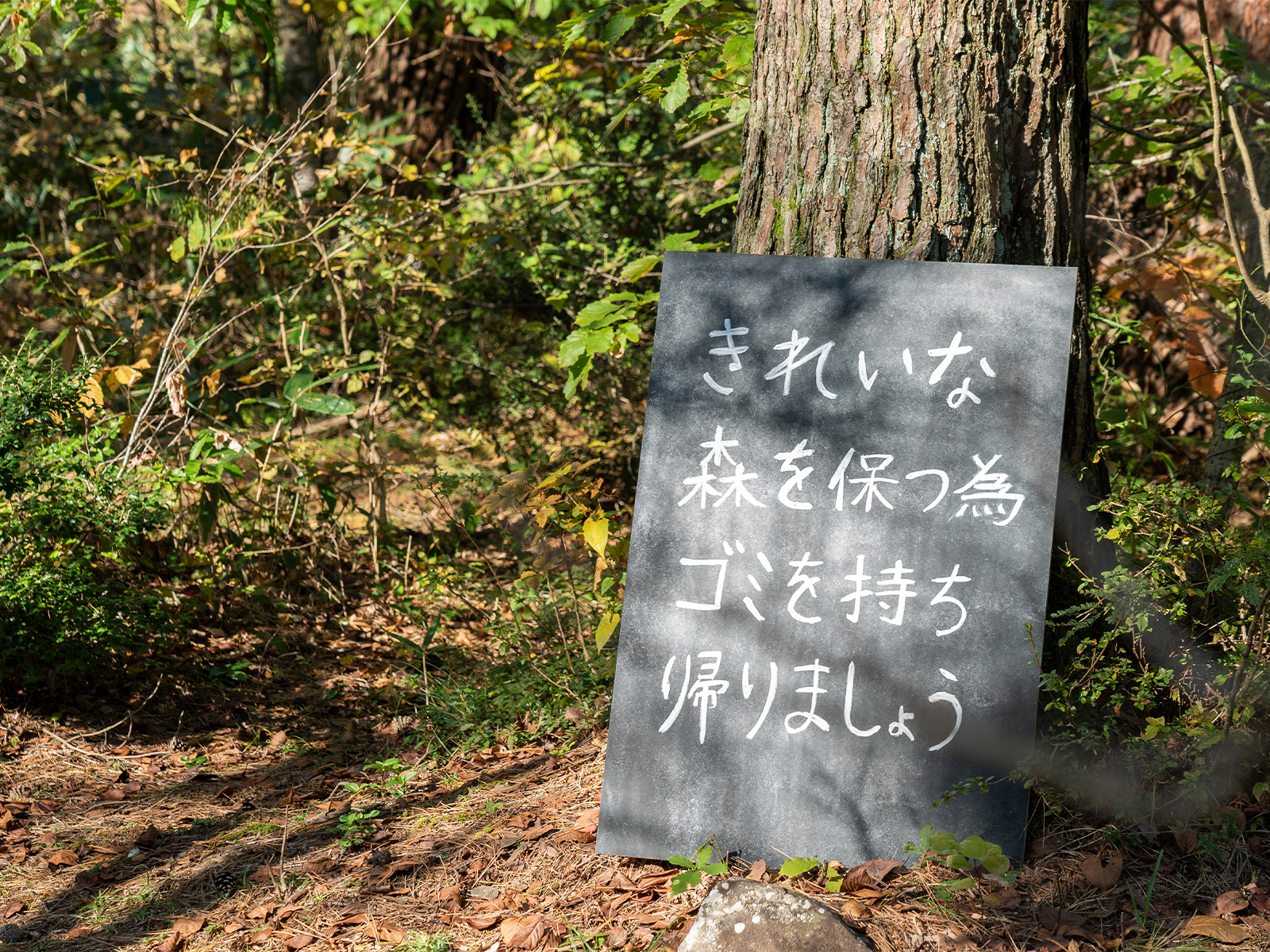 自分たちが楽しむだけでなく、自然を守る気持ちを伝えていた。