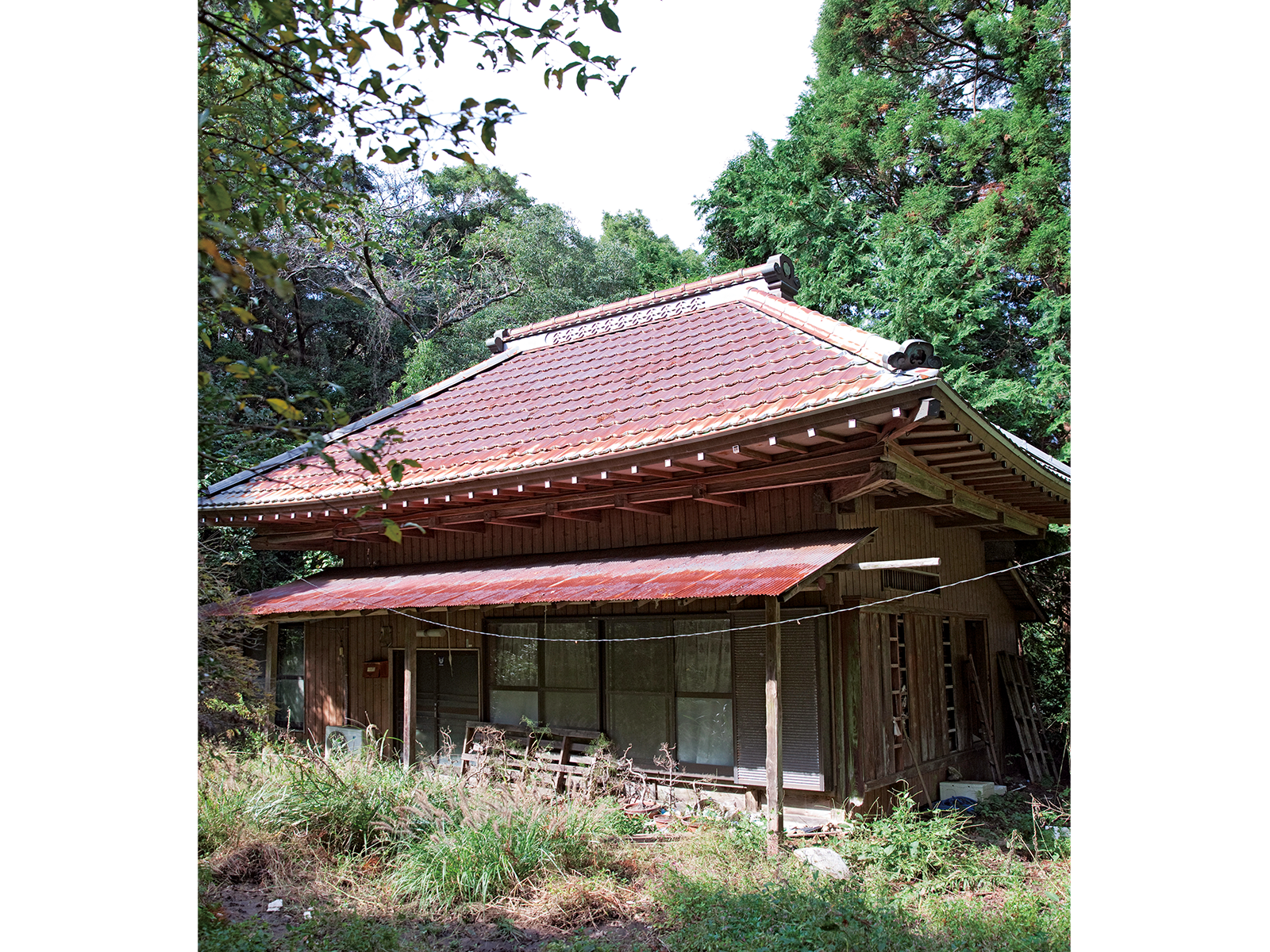 「月出工舎」を拠点に新しい森をつくる計画で、裏山の空き家もアート作品に。