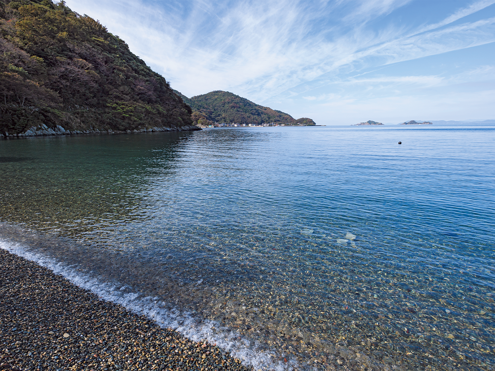 第1次産業 海藻のミネラルが植物を活性化させる。