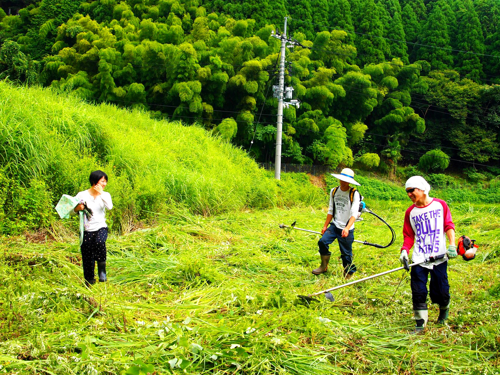 岡山県美作市の耕作放棄地で草刈り。草刈りは隊員仕事の「基本」だ。