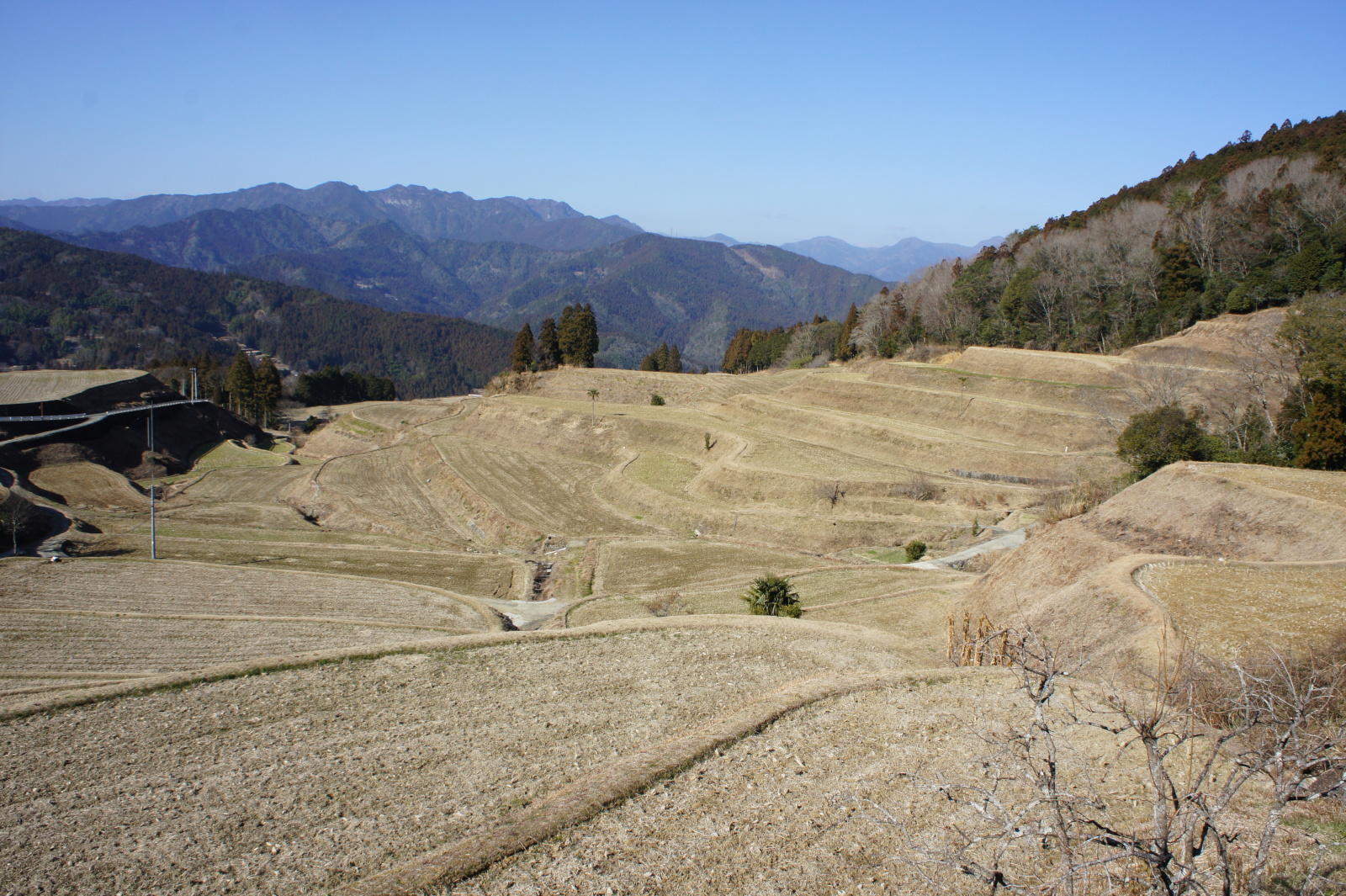 辺り一帯の斜面を埋め尽くす棚田の数々と、山深い土佐町の地形が独特の景観を作り出す