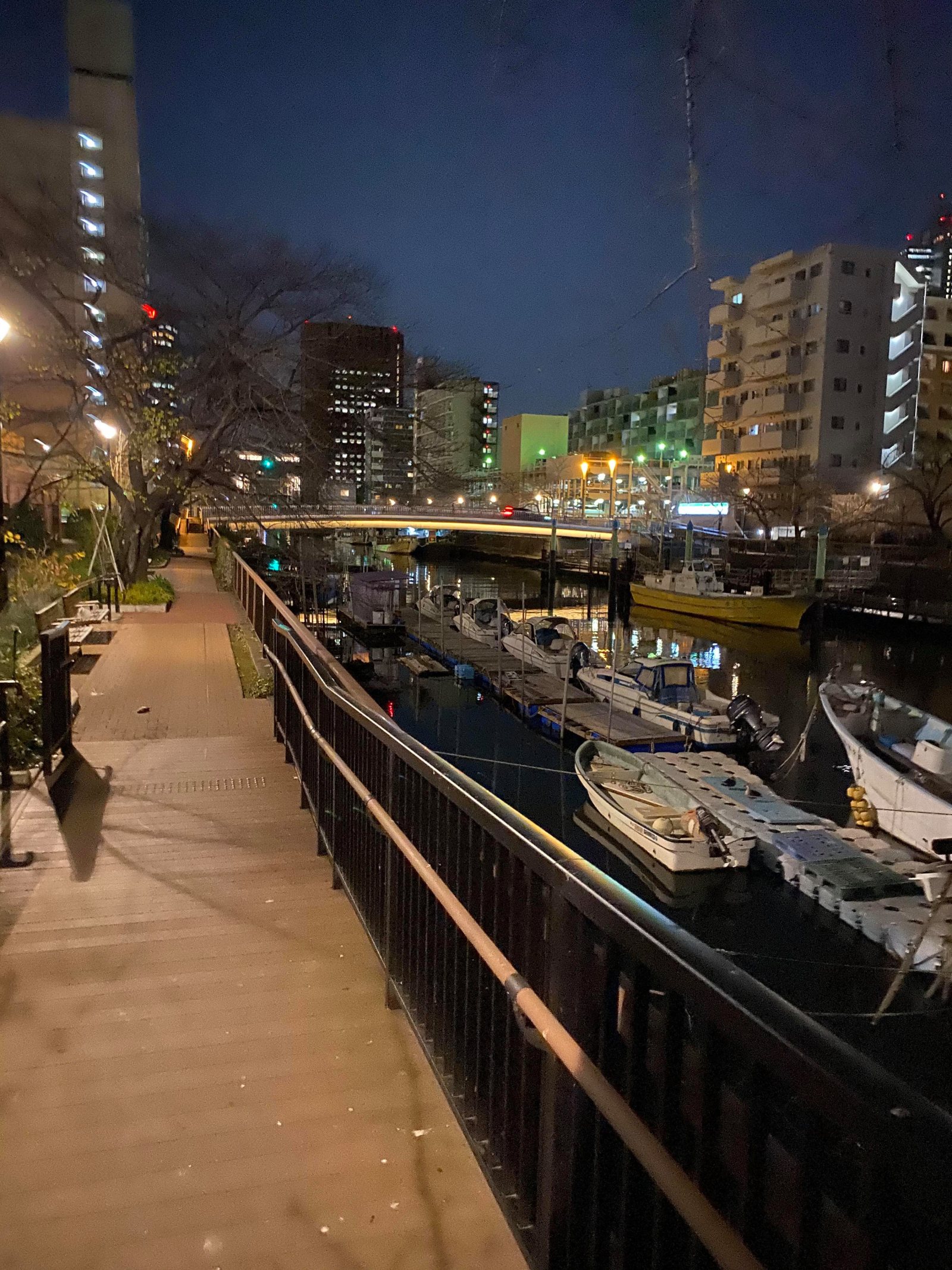東京の湾奥は、明るくて足場のよいところが多い。ルールとマナーを守ってね!