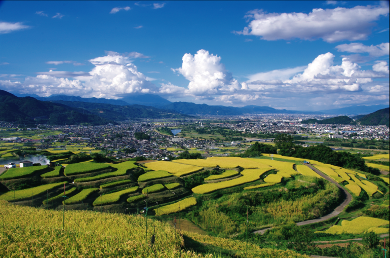 棚田からの善光寺平を見下ろす景色は絶景