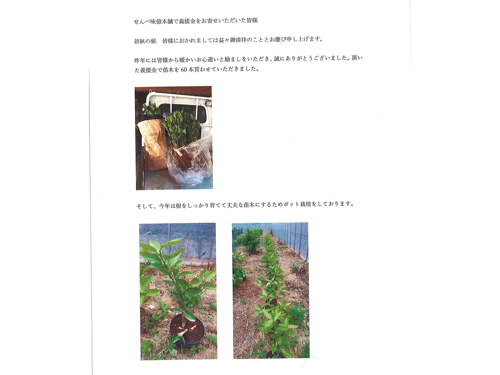 募金後の様子を伝える『俊成みかん』からのお礼の手紙。