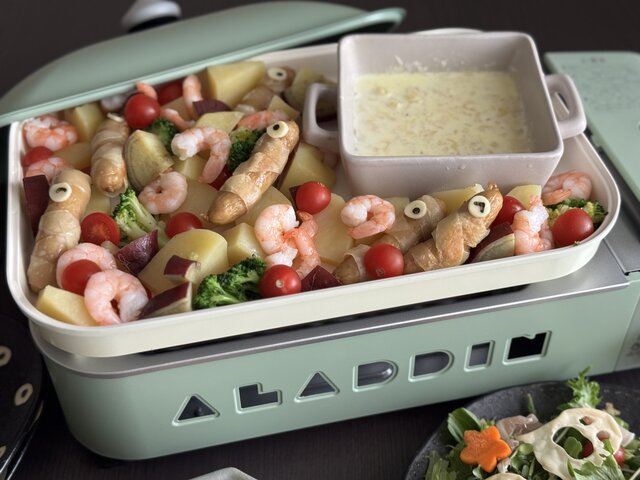 我が家に新しいアラジンがやってきた