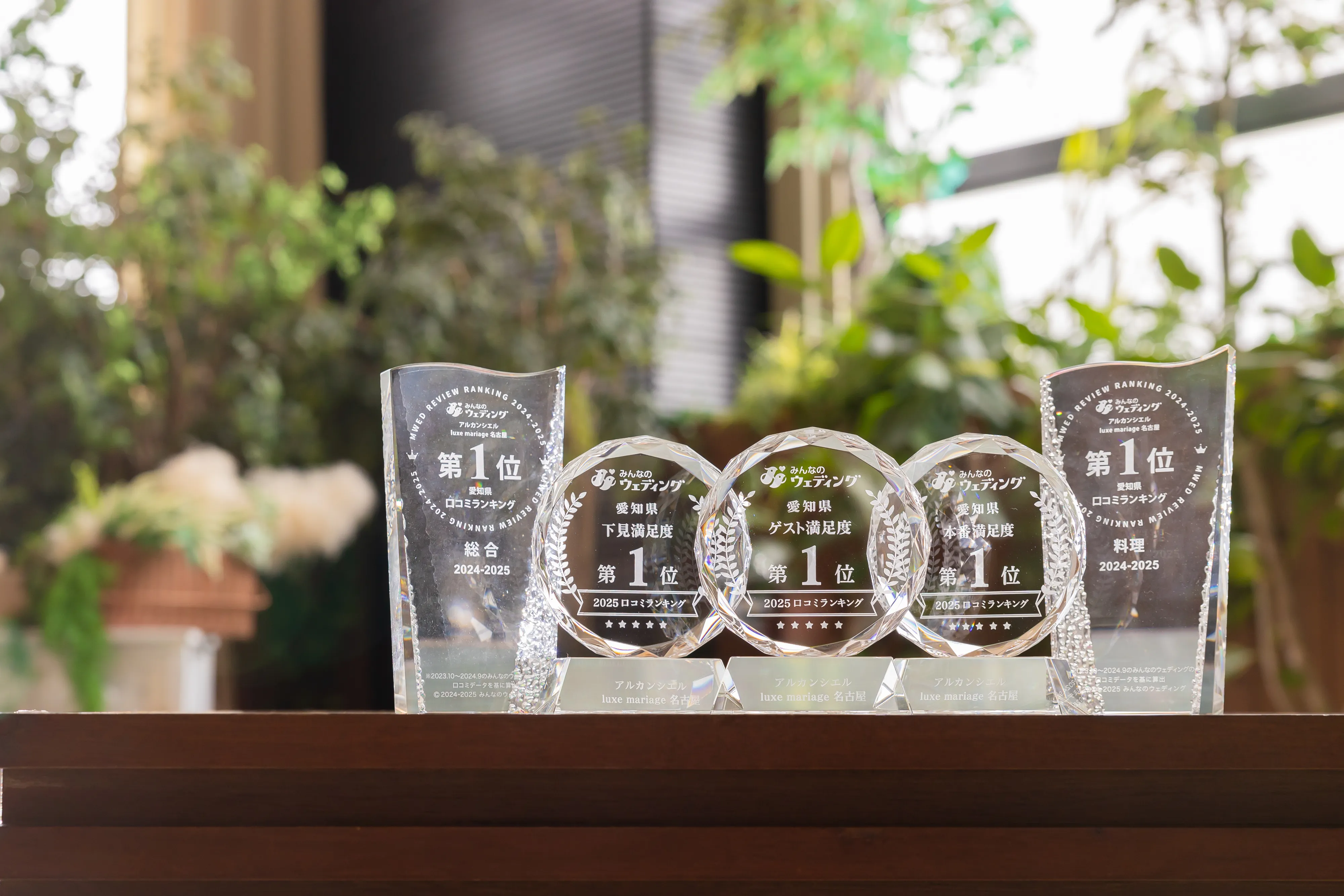 受賞歴とトロフィー