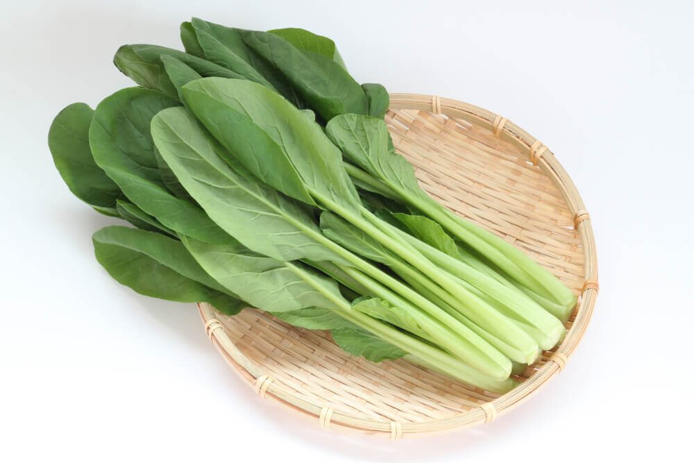 小松菜｜豊富な栄養素を持つ注目の野菜！ 新鮮さを見分ける選び方も