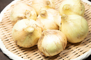 新玉ねぎ│長持ちさせるポイントは冷蔵・冷凍を使い分ける保存方法にあり！