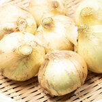 新玉ねぎ│長持ちさせるポイントは冷蔵・冷凍を使い分ける保存方法にあり！