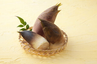 たけのこ｜失敗しないアク抜きの方法とは？栄養素やうまみを逃がさない保存方法も