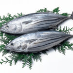 カツオ｜年に2回ある旬の時期とおすすめの選び方。栄養を損なわない食べ方も