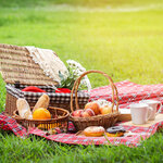 ピクニックを楽しむための持ち物リスト！必需品や便利アイテム、映え写真のコツも						