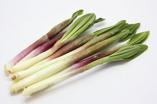 行者ニンニク｜栄養価が高く香りと食感が魅力の山菜。食べ方や保存方法を解説