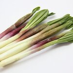 行者ニンニク｜栄養価が高く香りと食感が魅力の山菜。食べ方や保存方法を解説