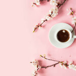 今年も目が離せない！春気分を満喫するオシャレでかわいいさくらアイテム・スイーツ