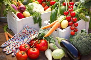 家庭菜園におすすめの夏野菜！ プランター栽培のコツを知れば初心者も育てやすい