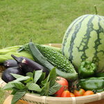 7月に旬を迎える食材一覧【野菜・魚・果物】│栄養素・保存方法・調理方法など