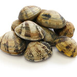 アサリ｜正しい砂抜き方法や時短テクニック！おいしさを引き出すコツも紹介