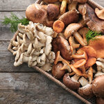 スーパーで買えるキノコの種類は？特徴や活用方法を知って美味しく食べよう