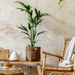 衣・食・住の「夏支度」で快適な毎日を。暑さを乗り切るための準備を解説