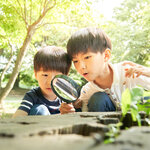 もうすぐ夏休み！自由研究のテーマ探しにおすすめのイベント・グッズを紹介