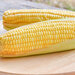 トウモロコシのおいしい食べ方｜茹で方・レンジでの加熱方法を解説｜Shufoo!プラス