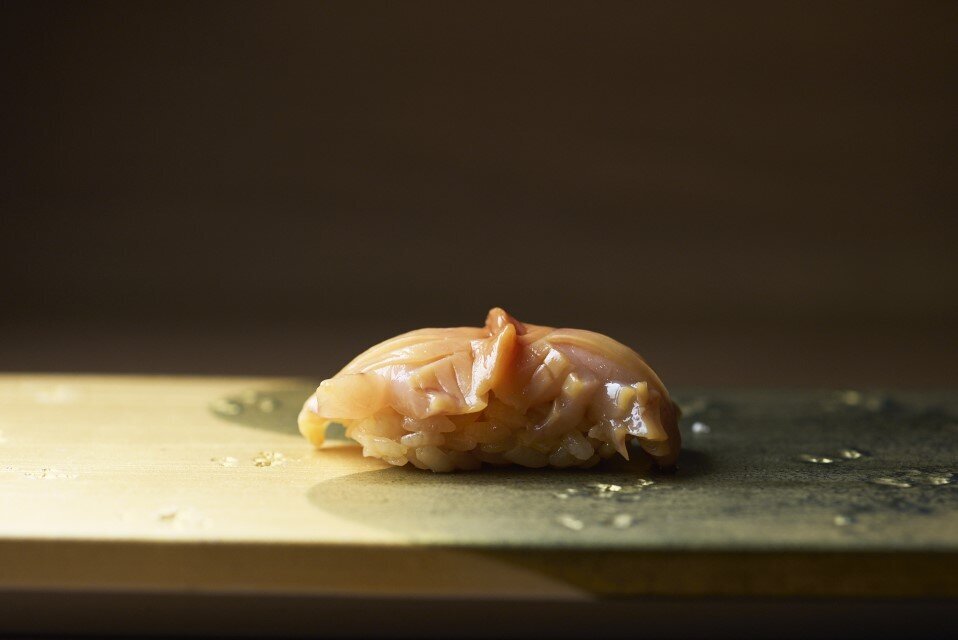 寿司ネタになることも多い 貝 の種類と特徴をまとめてざっくり解説 おつまみコラム 寿司コト 1万円台高級寿司メディア