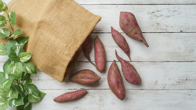 【管理栄養士監修】さつまいもの離乳食はいつから?初期・中期・後期・完了期別レシピ