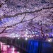 【口コミまとめ】目黒で評判!口コミで選ぶおすすめ薬局10選(後編)