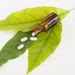 腎臓の薬を飲んでいる方はインフルエンザ薬に注意!【お薬手帳メモ】