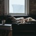 不眠症対策!眠りやすい環境の整え方と漢方薬をご紹介