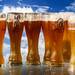 未成年の飲酒は、心にも体にも悪影響を及ぼす!