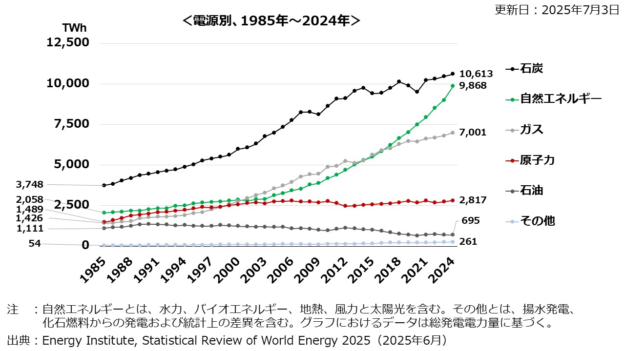 出典：自然エネルギー財団「統計・マップ｜世界の電力」