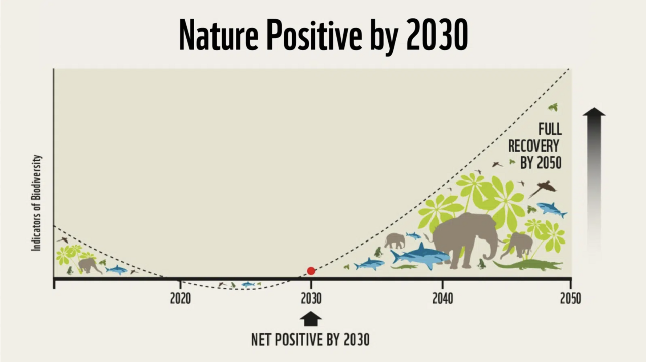出典：Nature positive　『Nature Positive Initiative』