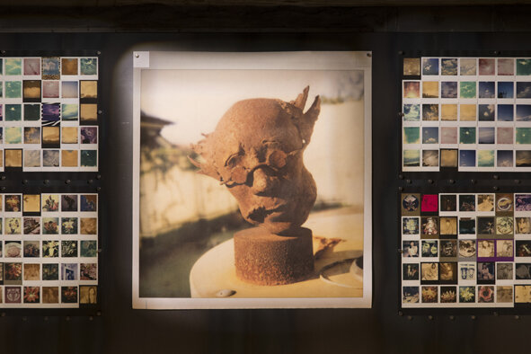 荒木経惟（Nobuyoshi Araki）｜異色の経歴や代表作品について解説