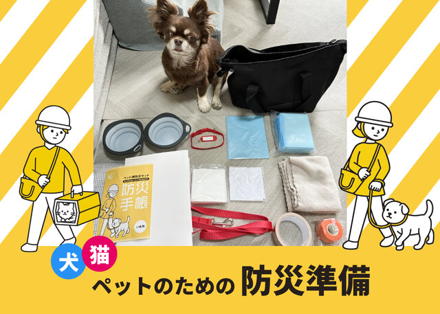 アイリスオーヤマの「ペット用防災セット」をレビュー！愛犬の命を守る災害対策