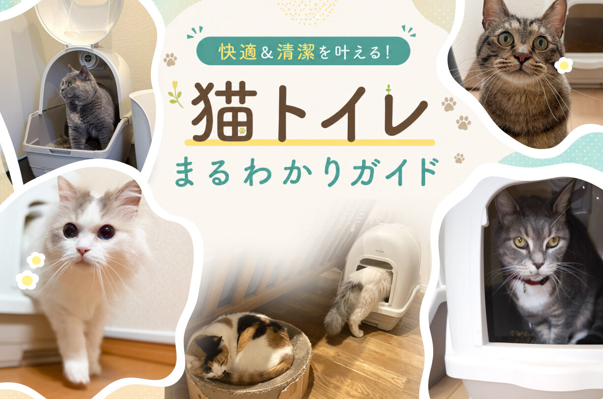 ニオイ悩みから解放？炭脱臭ファン付き猫トイレを愛猫家がレビュー
