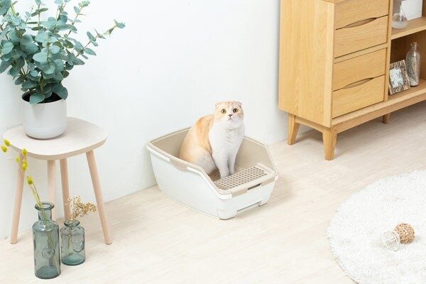 システムトイレと猫