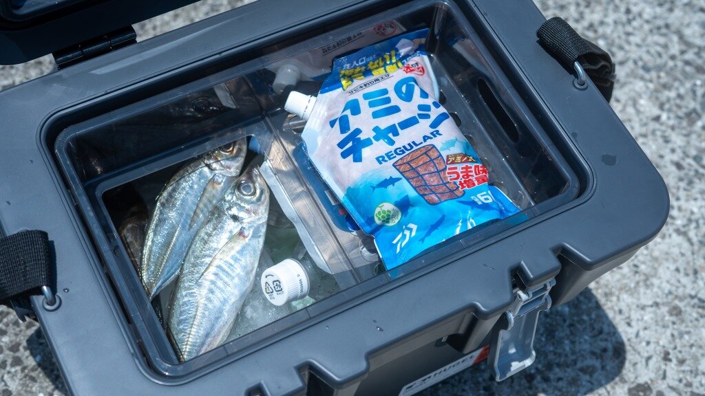 直入れしたアジ