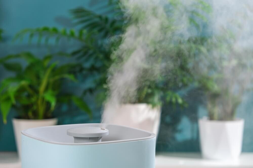 観葉植物と加湿器
