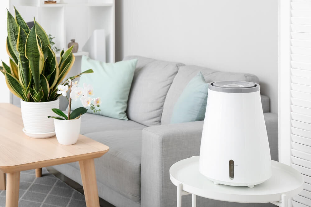 リビングに置かれた観葉植物と加湿器