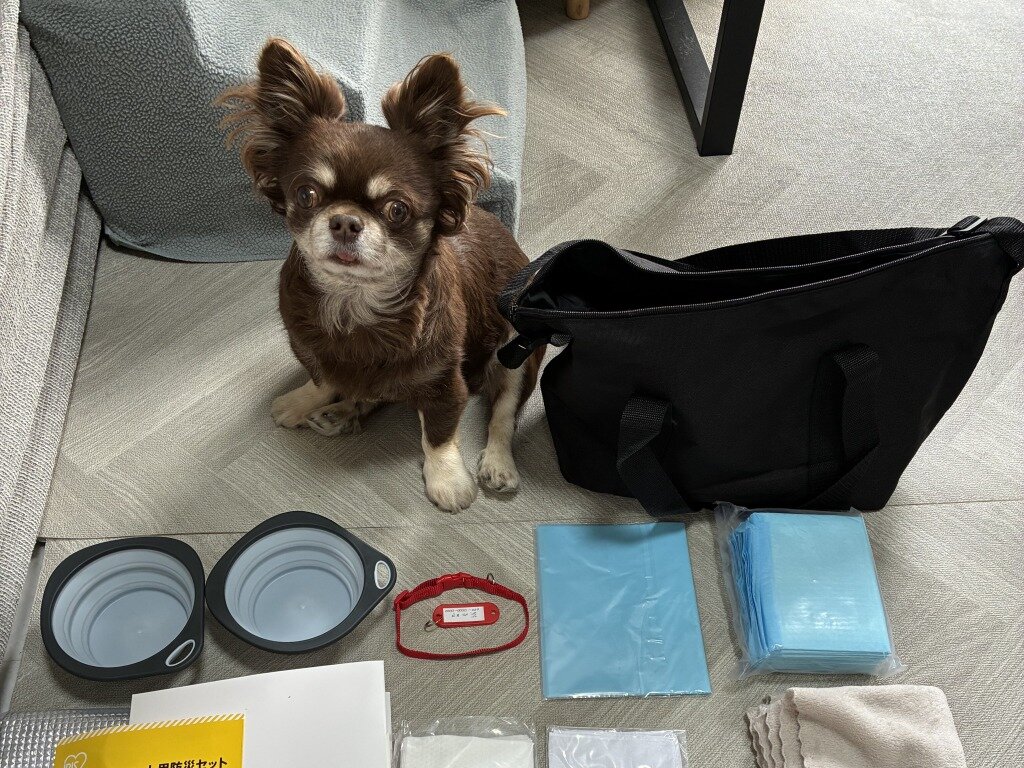 収納力たっぷりのバッグ