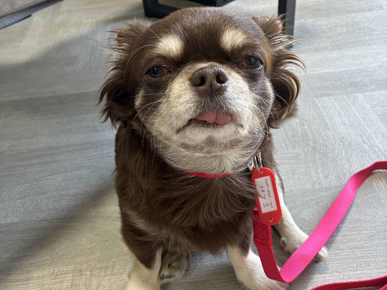 連絡先を書いた名札