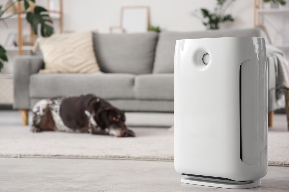 リビングに置かれた空気清浄機