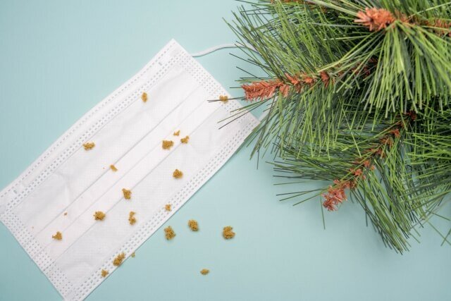 マスクの上に花粉が溢れている様子